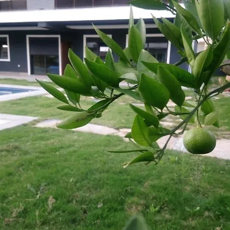 Apartman Mali Garden Side