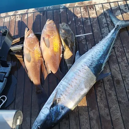 Mali Garden Apartman Side