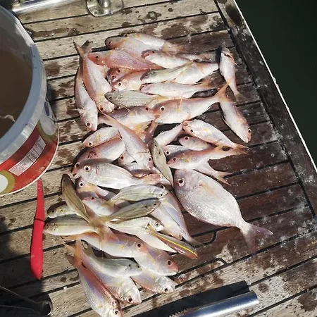 Mali Garden Apartman *