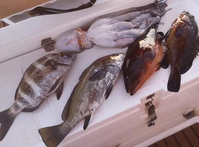 Mali Garden Apartman Side