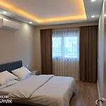 Mali Garden * シダ