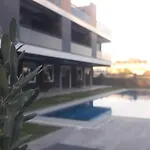 Mali Garden シダ