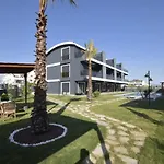 Mali Garden シダ