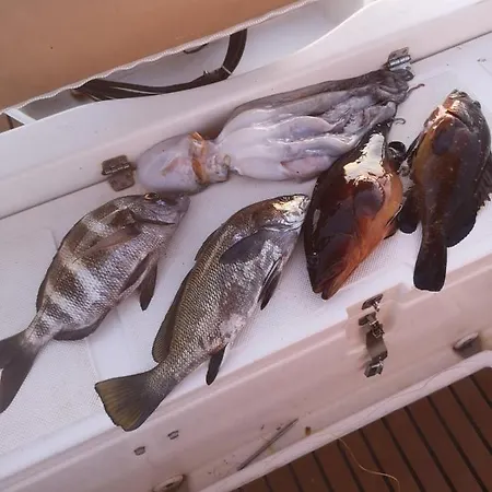 Mali Garden شقة سيدي