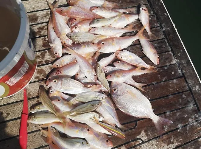 Mali Garden شقة *