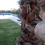 Mali Garden * 시데