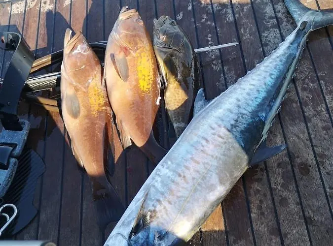 Mali Garden Apartment Side